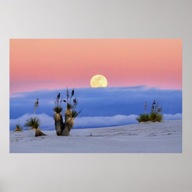 WEISSER SAND POSTER (Vorne)