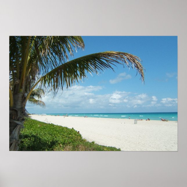 Weißer Sandstrand mit Palm Poster (Vorne)