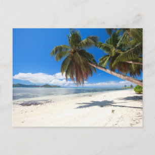 Weißer Sandstrand Postkarte