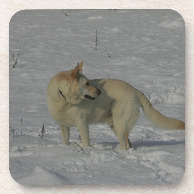 Weißer Schäferhund im Schnee Untersetzer (Vorderseite)