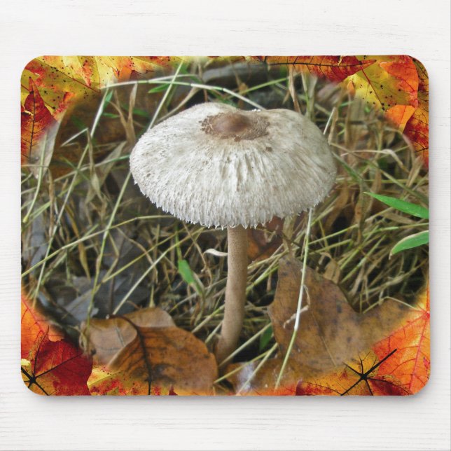Weißer Schirmpilz Mousepad (Vorne)