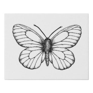Weißer Schmetterling Künstlicher Leinwanddruck