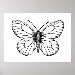 Weißer Schmetterling Poster