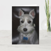 Weißer Schnauzer-Welpen-süße Gesichts-Karte
