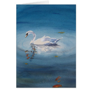 Weißer Schwan