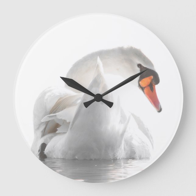 Weißer Schwan auf Wasser Große Wanduhr (Vorderseite)
