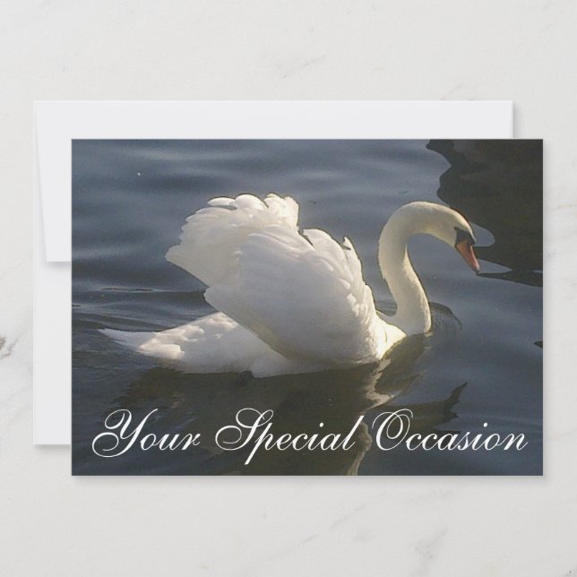 Weißer Schwan Einladung (Vorderseite)