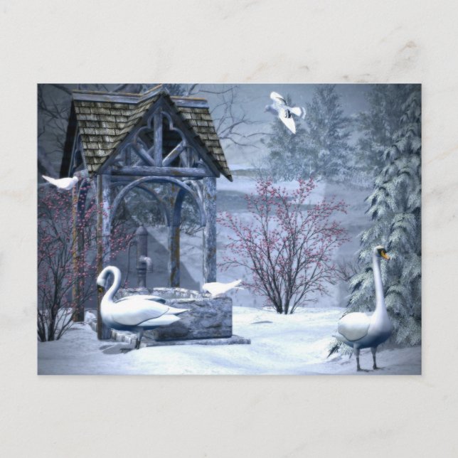 Weißer Schwan im sonnigen Weihnachtsfest Postkarte (Vorderseite)