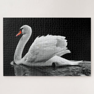 Weißer Schwan im Wasser Puzzle