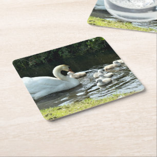Weißer Schwan mit Chicks Rechteckiger Pappuntersetzer