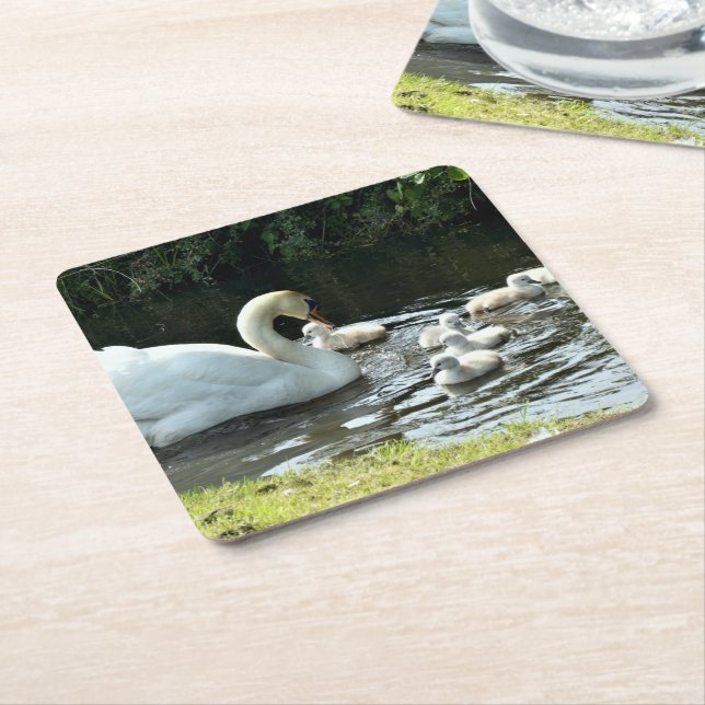 Weißer Schwan mit Chicks Rechteckiger Pappuntersetzer (angewinkelt)