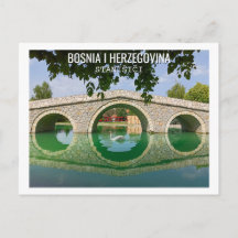 Weißer Schwan unter der Bogenbrücke