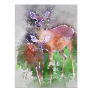 Weißer Schwanz Hirsch in Wasserfarbe Poster