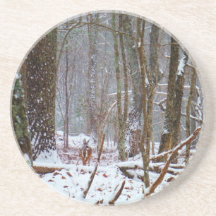 Weißer Schwanz im Schnee Getränkeuntersetzer