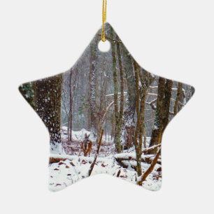 Weißer Schwanz im Schnee Keramik Ornament