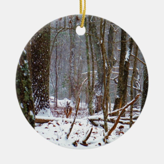 Weißer Schwanz im Schnee Keramikornament (Vorne)