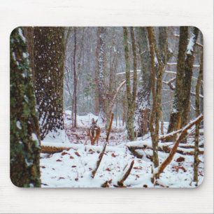 Weißer Schwanz im Schnee Mousepad