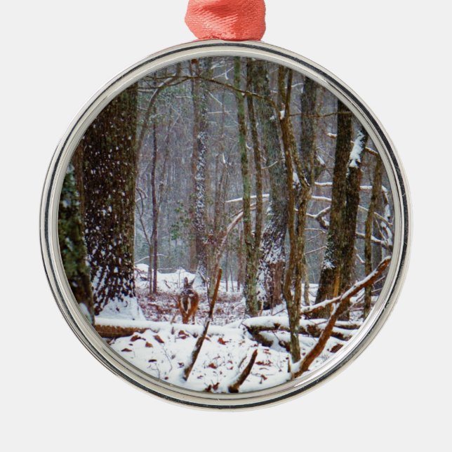 Weißer Schwanz im Schnee Silbernes Ornament (Vorne)