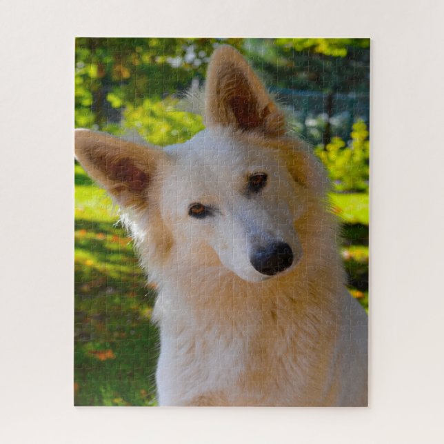 Weisser Schweizer Schäferhund Jigsaws. Puzzle (Vertikal)