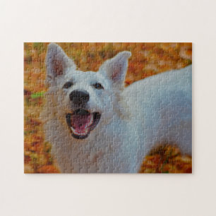 Weisser Schweizer Schäferhund Jigsaws. Puzzle