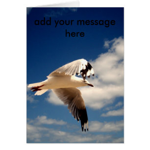 Weißer Seemannsmöwe