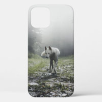 Weißer Sibirischer Husky
