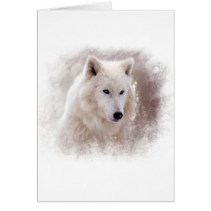 WEISSER SIBIRISCHER SCHLITTENHUND