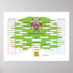 Weißer Stammbaum Poster