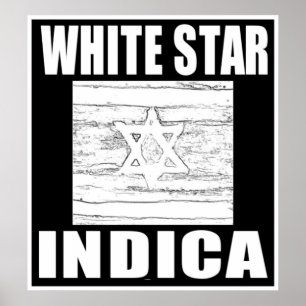 WEIßER STERN INDICA POSTER