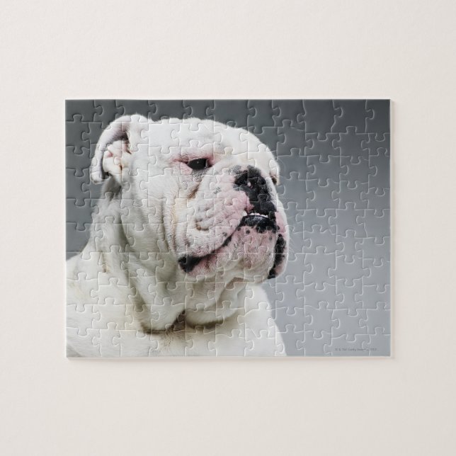 Weißer Stier-Hund Puzzle (Horizontal)