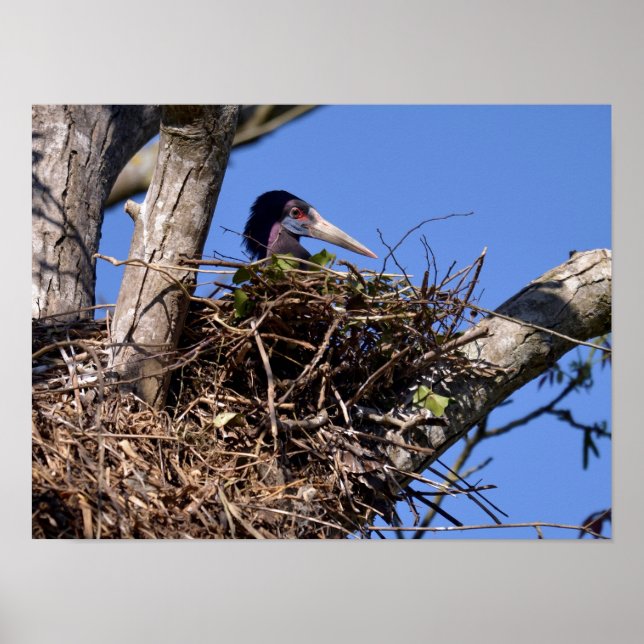 Weißer Storch auf seinem Nest Postcard Metal Orn Poster (Vorne)