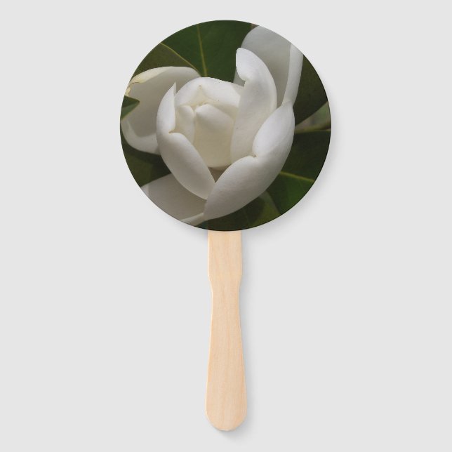 Weißer Südmagnolia-Blume Fächer (Vorderseite)