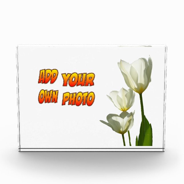 Weißer Sunny Tulips Foto Block (Vorderseite)