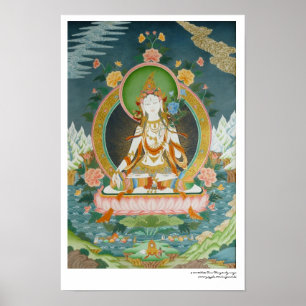 Weißer Tara Poster