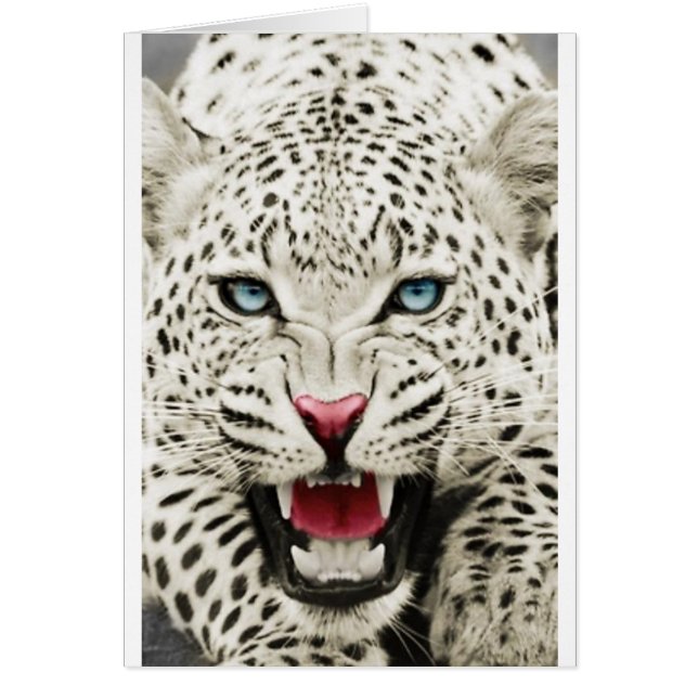 Weißer Tiger (Vorne)