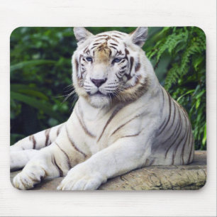 Weißer Tiger 1 Mousepad