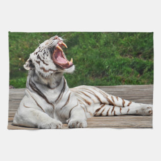 Weißer Tiger, Bengalisches Tiger Küchentuch