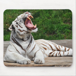 Weißer Tiger, Bengalisches Tiger-Mousepad Mousepad