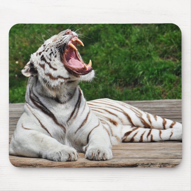 Weißer Tiger, Bengalisches Tiger-Mousepad Mousepad (Vorne)