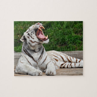 Weißer Tiger, bengalisches Tiger-Puzzlespiel Puzzle