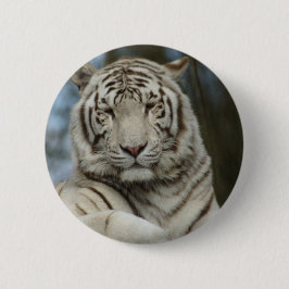 Weißer Tiger Button