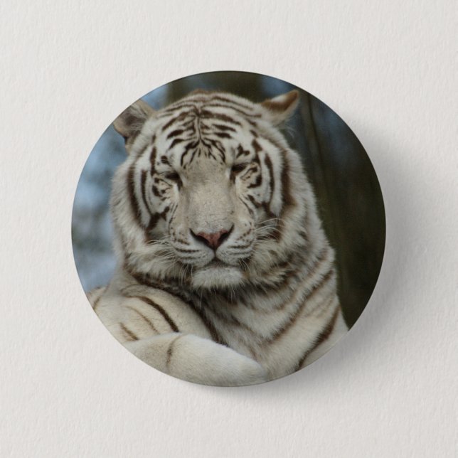 Weißer Tiger Button (Vorderseite)