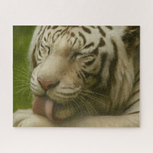 Weißer Tiger im Alltagsleben Puzzle