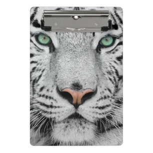 Weißer Tiger Mini Klemmbrett