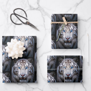 Weißer Tiger mit blauen Augen Geschenkpapier Set