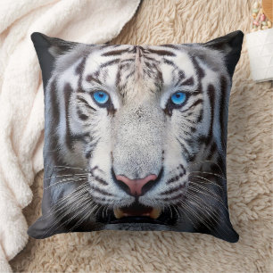 Weißer Tiger mit blauen Augen Kissen