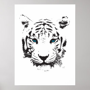 Weißer Tiger mit blauen Augen Poster