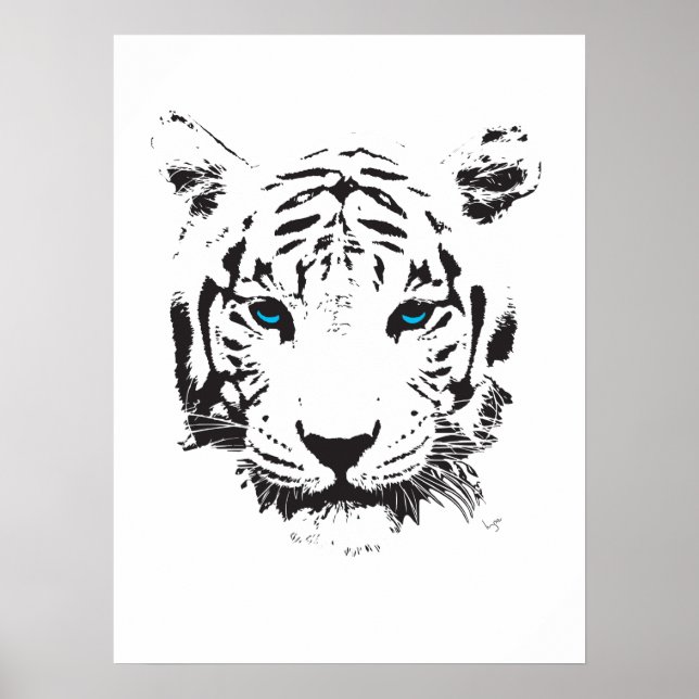 Weißer Tiger mit blauen Augen Poster (Vorne)