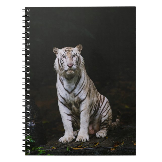WEIßER TIGER NOTIZBLOCK (Vorderseite)