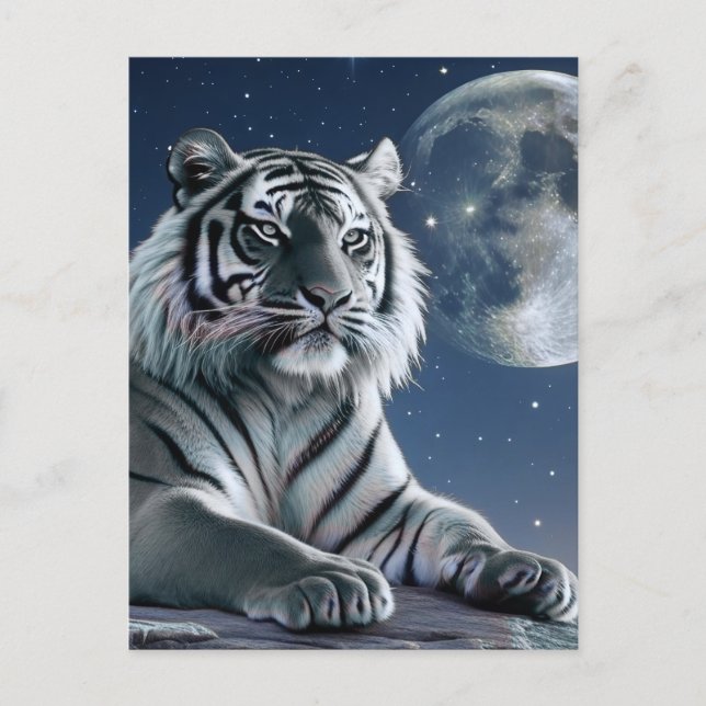 Weißer Tiger Postkarte (Vorderseite)